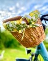 Kosz rowerowy naturalny (Haki/Drobny Wzór) - sklep z wiklina - zdjęcie 6