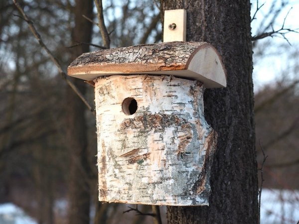 Budka lęgowa dla ptaków brzozowa - sklep z wiklina - zdjęcie 4