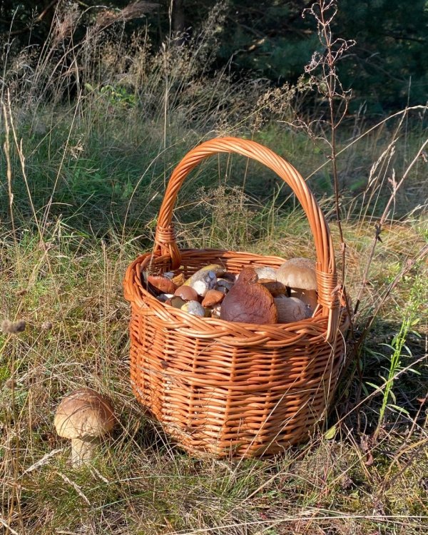 Kosz na zakupy Boler - naturalny - sklep z wiklina - zdjęcie 