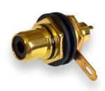 RCA socket black isolated
