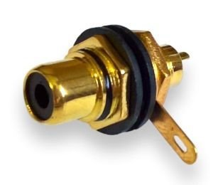 RCA socket black isolated