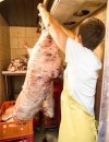 Fartuch dla przemysłu mięsnego