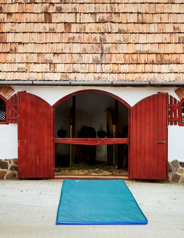 Mata dezynfekcyjna z zamkiem (380x110x5 cm)