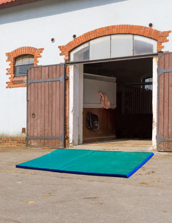 Mata dezynfekcyjna z zamkiem (180x90x4 cm)