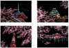 Magiczna Zdrapka Kwitnące Wiśnie - Sakura (4 szt.) 20x15 cm