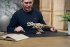 Puzzle 3D Drewniane Tyranozaurus Rex uGEARS