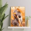 Malowanie Po Numerach Zestaw Koń w Liściach 40x50