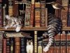 Haft Diamentowy Kot Bibliotekarz 55x75 cm