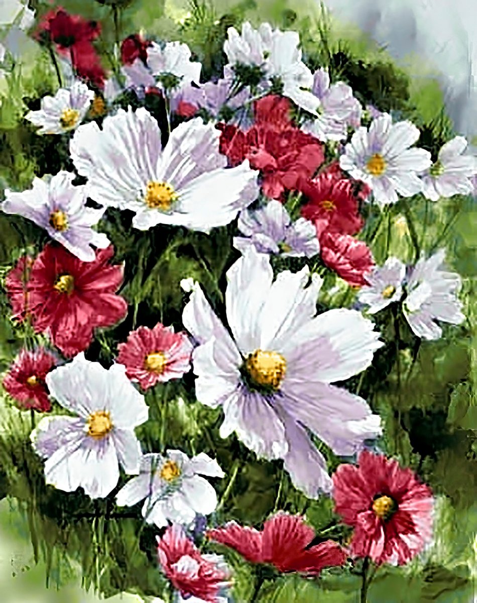 Haft Diamentowy Kolory Pola 30x40 cm