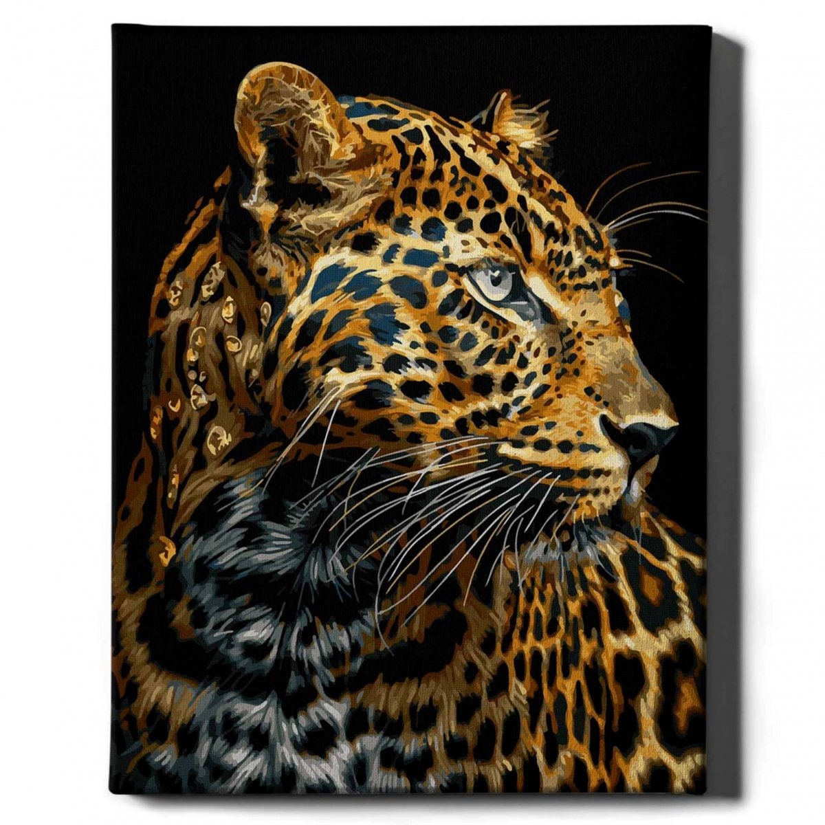 Malowanie Po Numerach Czarne Płótno Zestaw Leopard z Niebieskimi Oczami 40x50