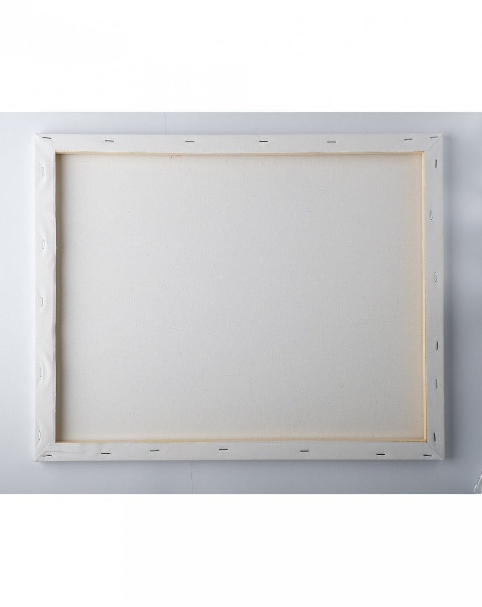 Malowanie Po Numerach Zestaw Papugi 40x50