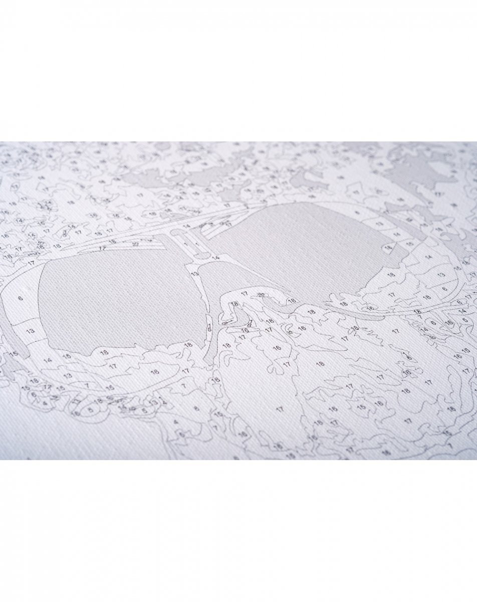 Malowanie Po Numerach Zestaw Pies i Motyle 40x50