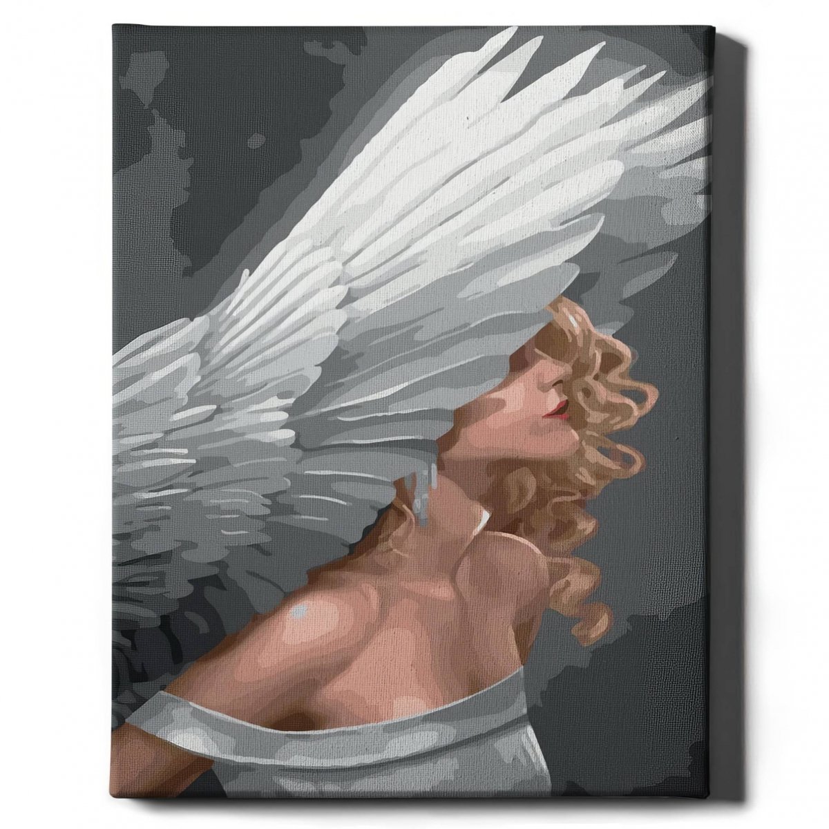 Malowanie Po Numerach Zestaw Dziewczyna Łabędzia 40x50