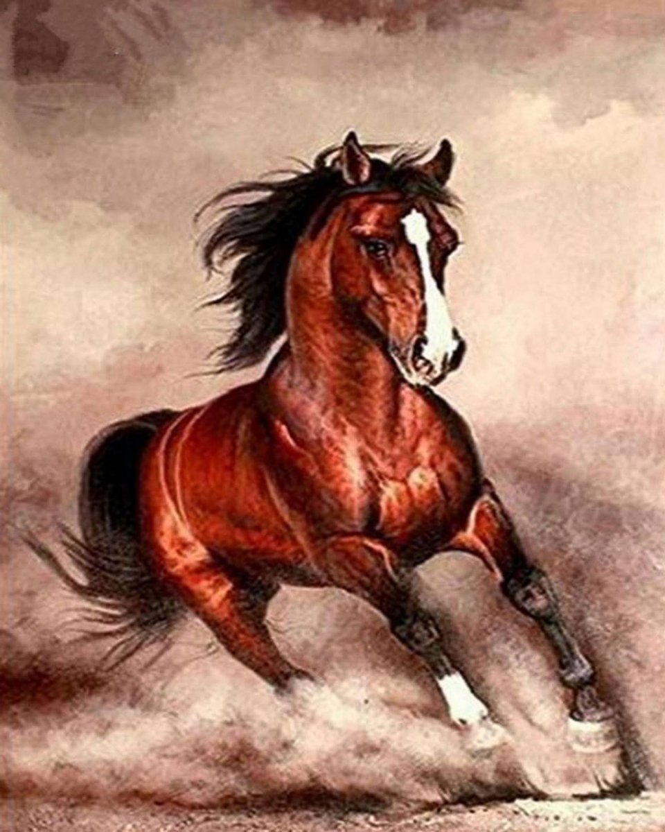 Haft Diamentowy Koń Galop 45x55 K