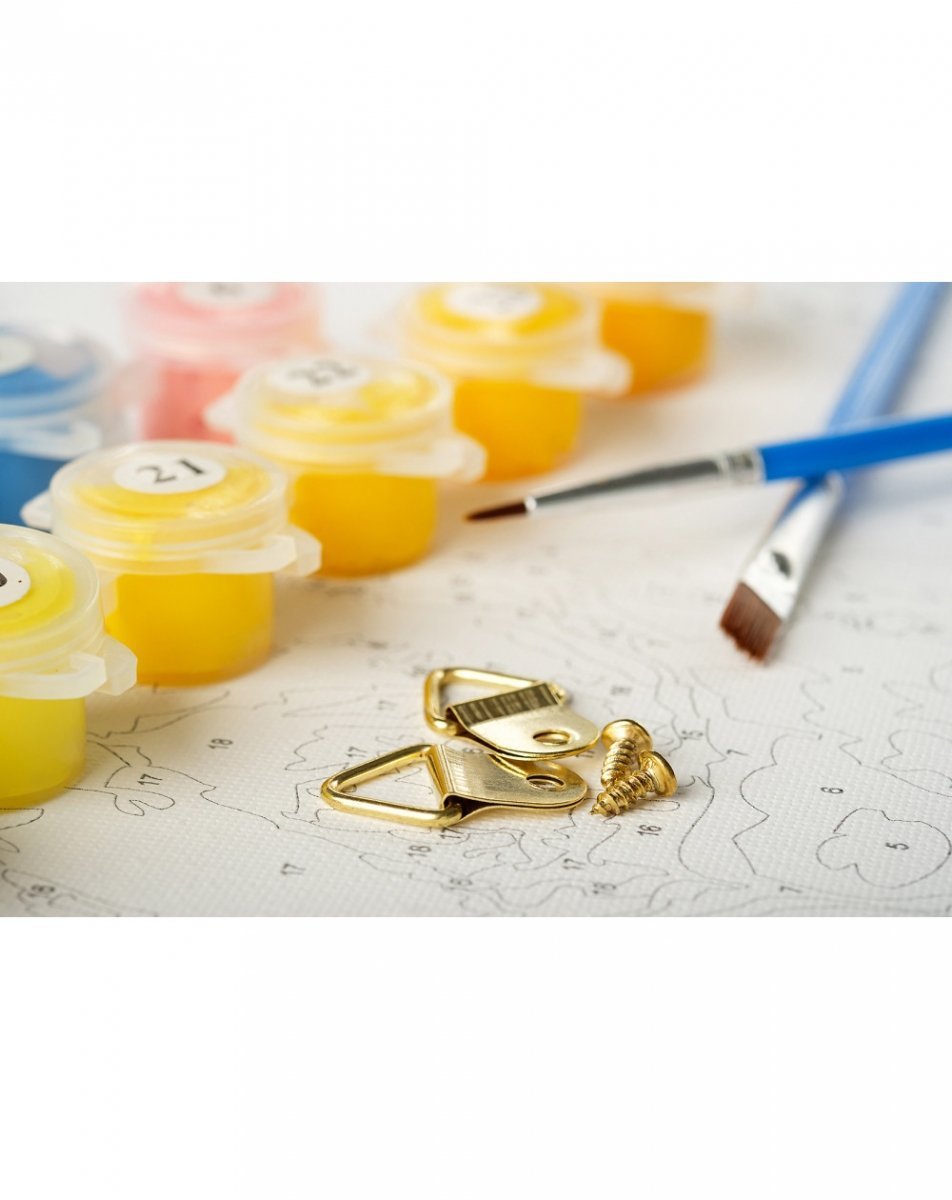 Malowanie Po Numerach Zestaw Słoń z Kwiatami  40x50