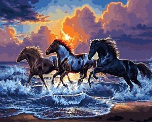 Malowanie Po Numerach Zestaw Konie w Zachodzie Słońca 40x50