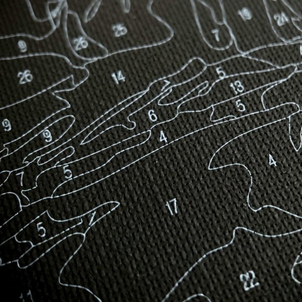 Malowanie Po Numerach Czarne Płótno Zestaw Kotek w Fioletowych Kwiatach 40x50