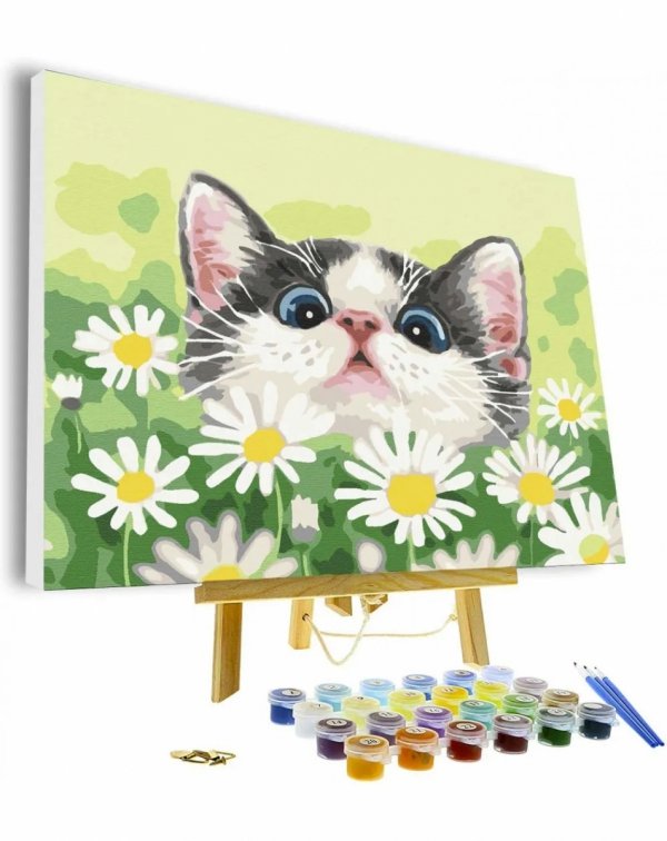 Malowanie Po Numerach Zestaw Kot w Stokrotkach 40x50