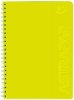 Kołonotes B5 80 k. kratka Astrapap Fluo, Astra