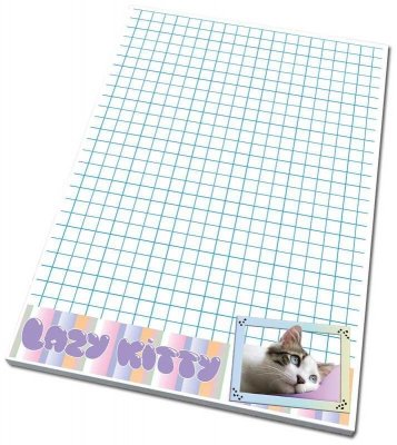 Notes A6 50k. kratka z poddrukiem Best friend koty, Bee-Bee