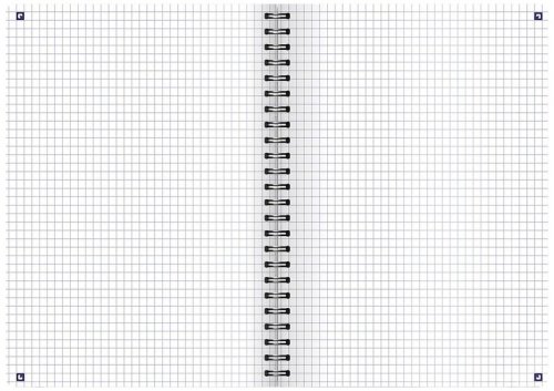 Kołonotes A4 100 k. kratka Touch Trend, Oxford