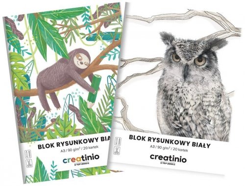 Blok rysunkowy A3 20 k. biały 90g Creatinio, Top-2000