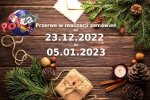 Zakupy w okresie świątecznym