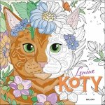 Leniwe koty. Kolorowanka