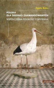 Polska dla średnio zaawansowanych. Współczesna polskość codzienna (EBOOK PDF)