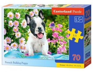 Puzzle French Bulldog Puppy 70