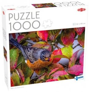 Puzzle 1000 Robin in the Autumn Leaves