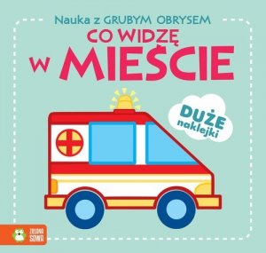 Nauka z grubym obrysem Co widzę w mieście