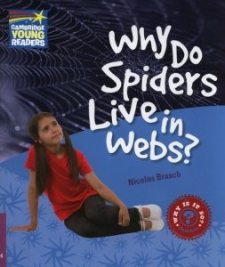 Why Do Spiders Live in Webs?