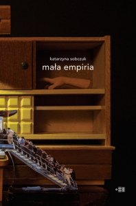 Mała empiria (EBOOK)