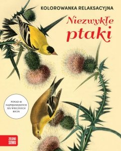 Niezwykłe ptaki. Kolorowanka relaksacyjna