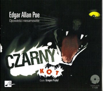 Czarny kot -  audiobook