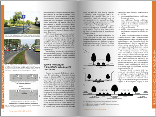Zielone Miasto. Zieleń Przy Ulicach 