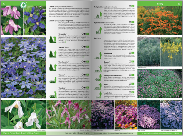KATALOG BYLIN II Kwiaty, trawy i paprocie