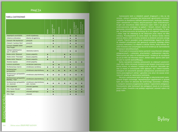 Zielone Miasto. Zieleń Przy Ulicach 