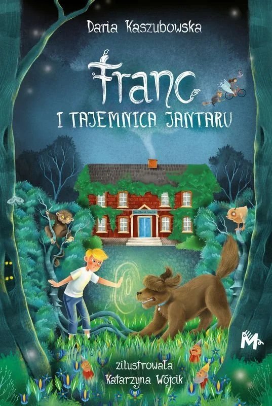 Franc i tajemnica Jantaru. Borkowie i kaszubskie przygody. Tom 1