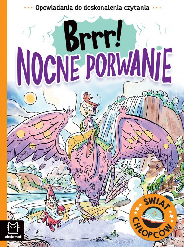Opowiadania do doskonalenia czytania. Świat chłopców. Brrr! Nocne porwanie