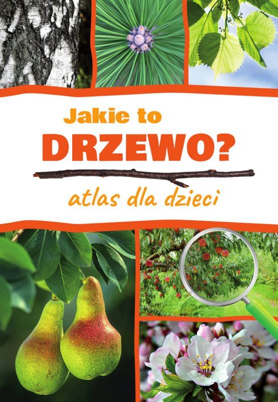 Jakie to drzewo?Atlas dla dzieci