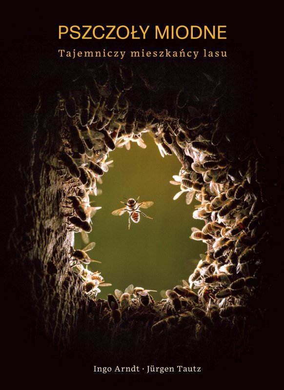 Pszczoły miodne. Tajemniczy mieszkańcy lasu