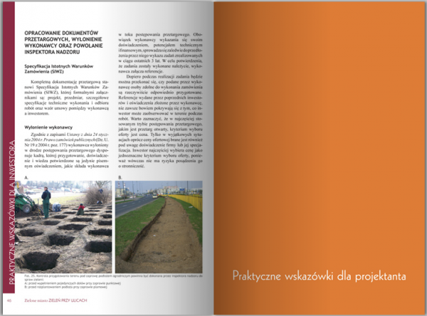 Zielone Miasto. Zieleń Przy Ulicach 