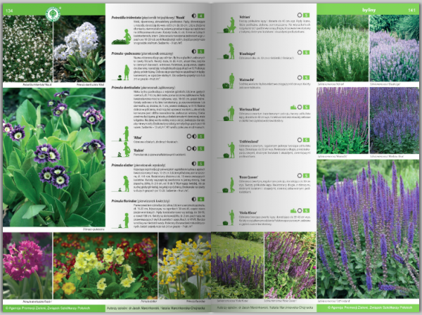 KATALOG BYLIN II Kwiaty, trawy i paprocie