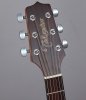 TAKAMINE GD11MS-NS