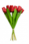 Tulipan bukiet z gumowym liściem 7 szt. MIX - 20YW030