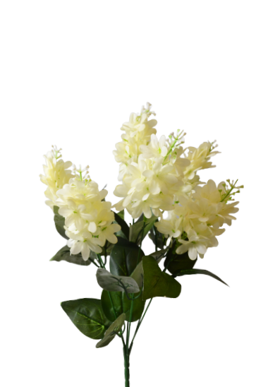 Bukiet bzu  x 7 kwiatów  MIX - 18Y169