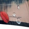 Jesienne liście - parasolka składana full-auto Zest 83725