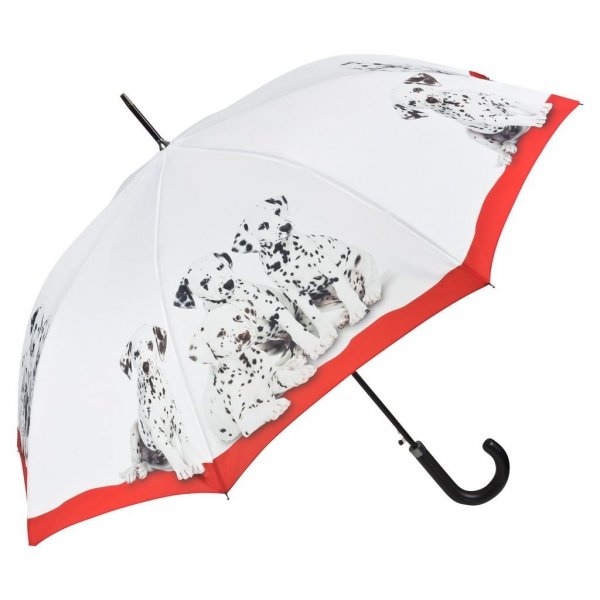 Dalmatyńczyki - parasol długi ze skórzaną rączką